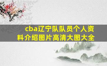 cba辽宁队队员个人资料介绍图片高清大图大全