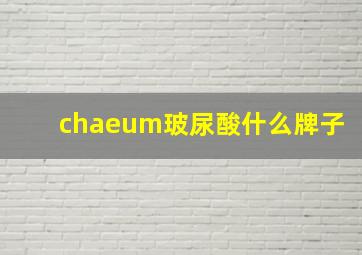 chaeum玻尿酸什么牌子