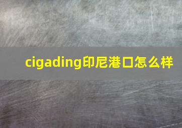 cigading印尼港口怎么样