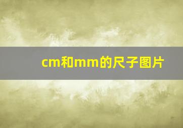 cm和mm的尺子图片