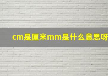 cm是厘米mm是什么意思呀