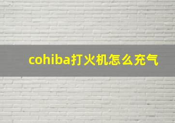 cohiba打火机怎么充气