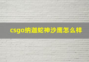 csgo纳迦蛇神沙鹰怎么样