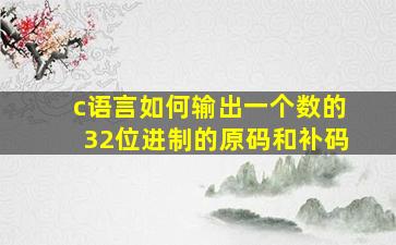 c语言如何输出一个数的32位进制的原码和补码