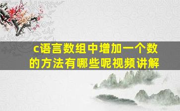 c语言数组中增加一个数的方法有哪些呢视频讲解