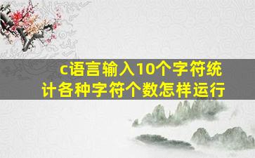 c语言输入10个字符统计各种字符个数怎样运行