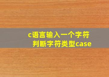 c语言输入一个字符判断字符类型case