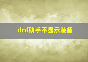 dnf助手不显示装备