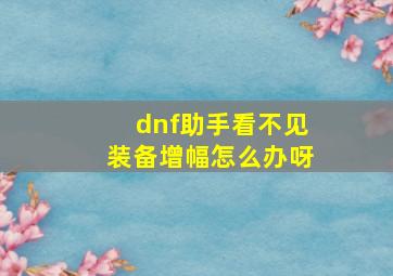 dnf助手看不见装备增幅怎么办呀