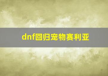 dnf回归宠物赛利亚