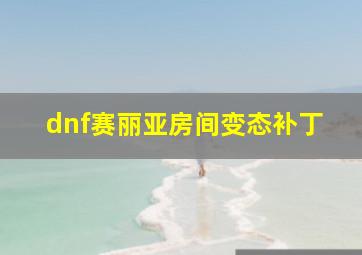 dnf赛丽亚房间变态补丁