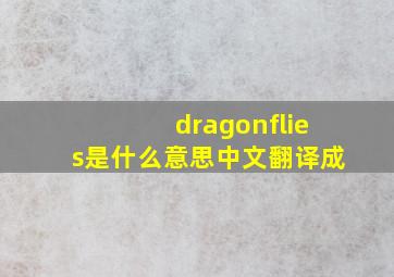 dragonflies是什么意思中文翻译成