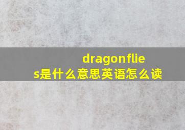 dragonflies是什么意思英语怎么读