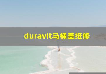 duravit马桶盖维修