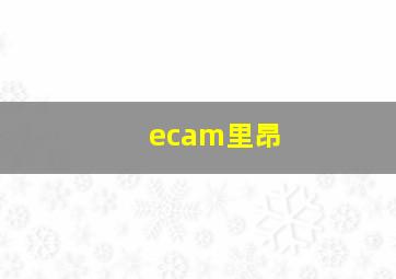 ecam里昂