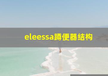 eleessa蹲便器结构