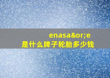 enasa∨e是什么牌子轮胎多少钱