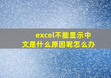 excel不能显示中文是什么原因呢怎么办