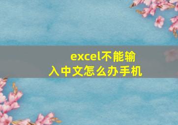 excel不能输入中文怎么办手机