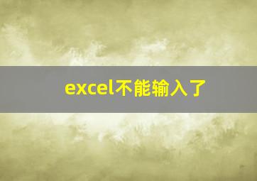 excel不能输入了