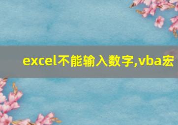 excel不能输入数字,vba宏