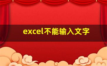 excel不能输入文字