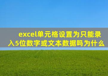 excel单元格设置为只能录入5位数字或文本数据吗为什么