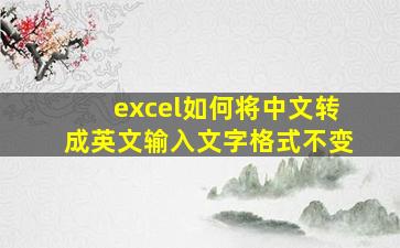 excel如何将中文转成英文输入文字格式不变