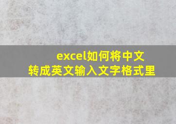 excel如何将中文转成英文输入文字格式里