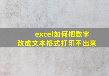 excel如何把数字改成文本格式打印不出来