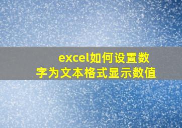 excel如何设置数字为文本格式显示数值