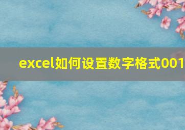 excel如何设置数字格式001