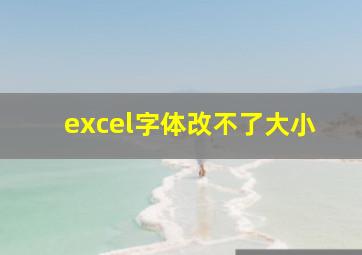 excel字体改不了大小