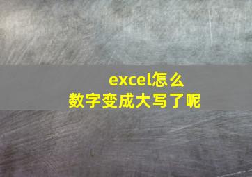 excel怎么数字变成大写了呢