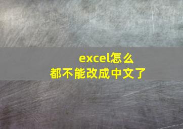 excel怎么都不能改成中文了