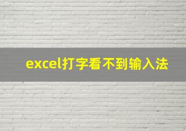 excel打字看不到输入法