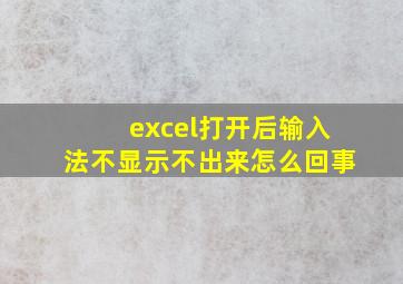 excel打开后输入法不显示不出来怎么回事