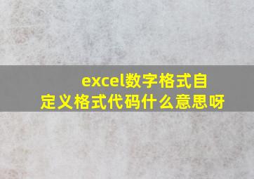 excel数字格式自定义格式代码什么意思呀