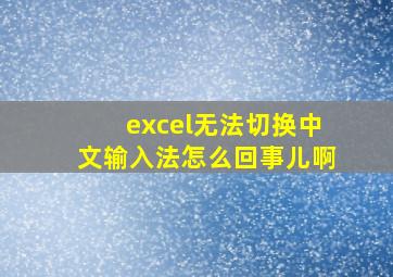 excel无法切换中文输入法怎么回事儿啊