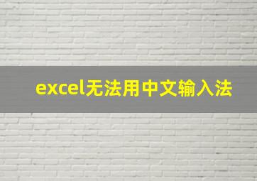 excel无法用中文输入法