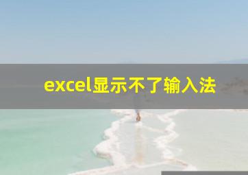 excel显示不了输入法