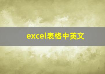 excel表格中英文