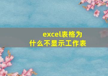 excel表格为什么不显示工作表