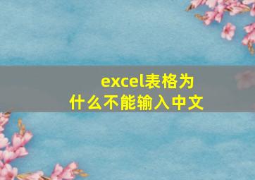 excel表格为什么不能输入中文