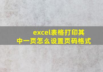 excel表格打印其中一页怎么设置页码格式