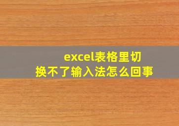 excel表格里切换不了输入法怎么回事