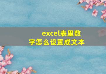 excel表里数字怎么设置成文本