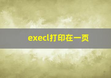 execl打印在一页