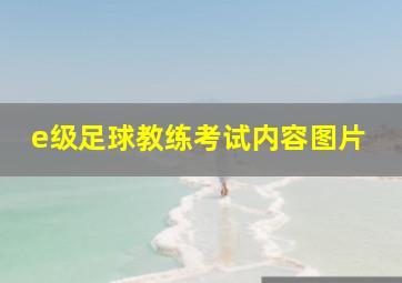 e级足球教练考试内容图片