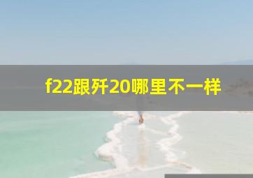 f22跟歼20哪里不一样